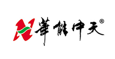 華能中天集團(tuán)